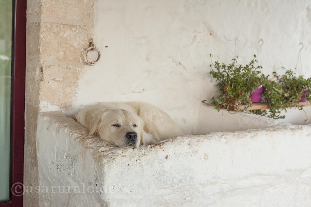 Masseria Ferri Ostuni Exterior foto